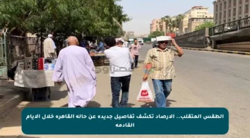 الطقس المتقلب.. الأرصاد تكشف تفاصيل جديدة عن حالة القاهرة خلال الأيام القادمة